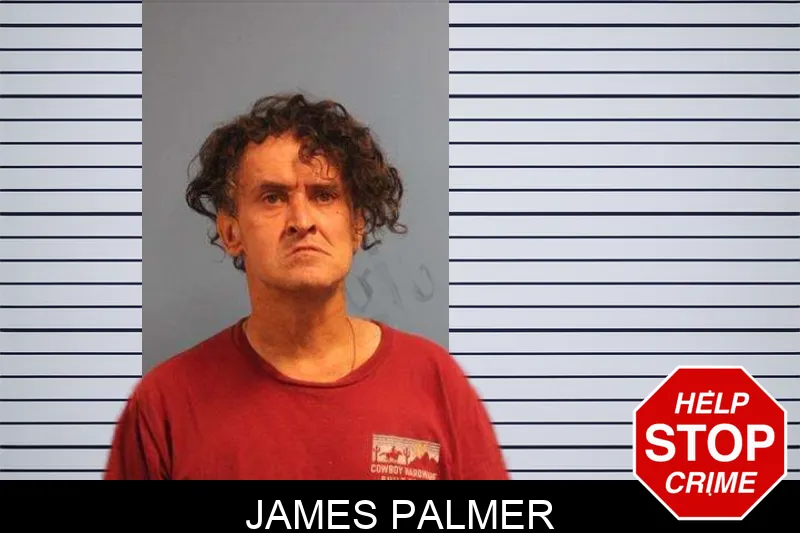 James Palmer mugshot