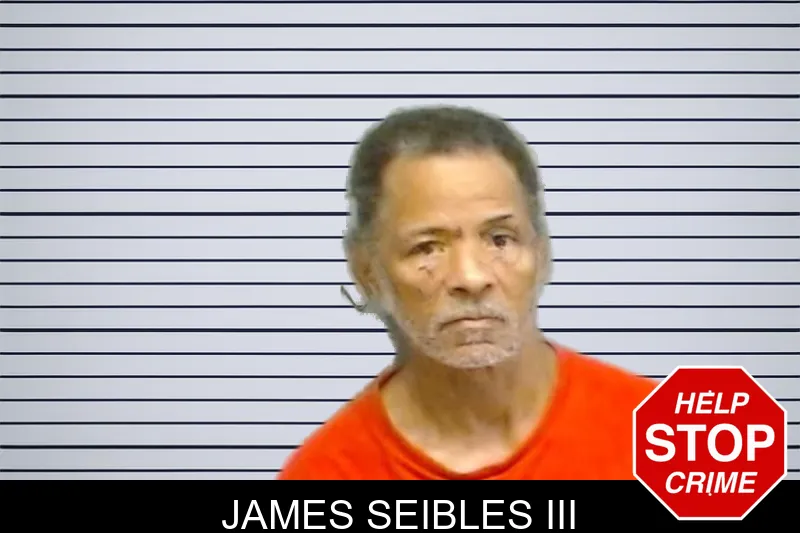 James Seibles III mugshot