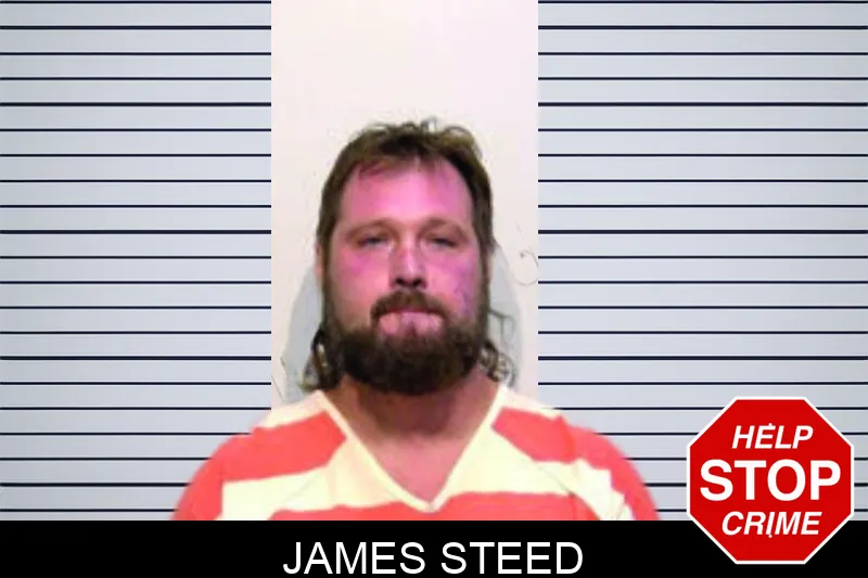 James Steed mugshot – Bartow County , Georgia James Steed mugshot