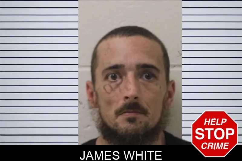 James White mugshot – Jones County , Georgia James White mugshot