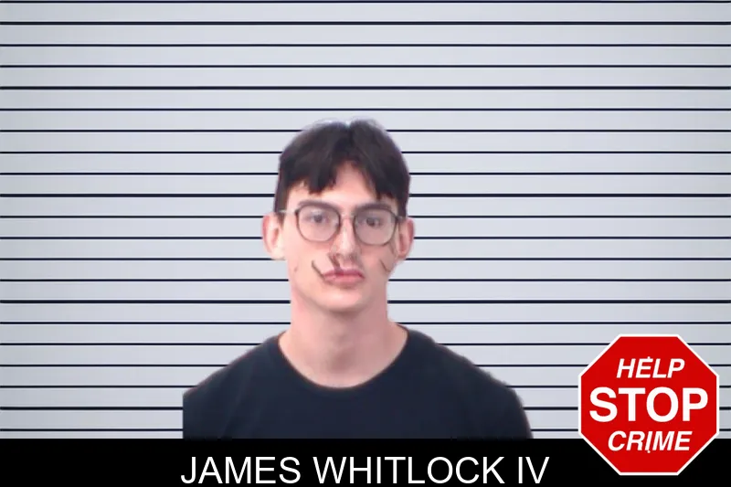 James Whitlock IV mugshot