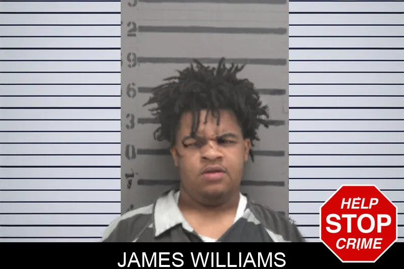 James Williams mugshot – Dougherty County , Georgia James Williams mugshot
