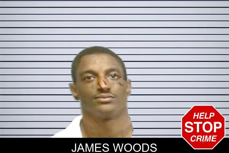 James Woods mugshot