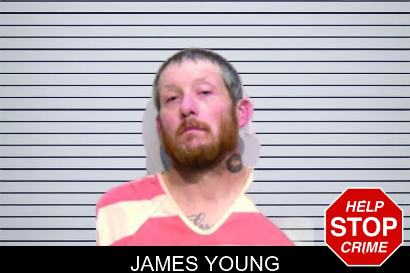 James Young mugshot – Bartow County , Georgia James Young mugshot