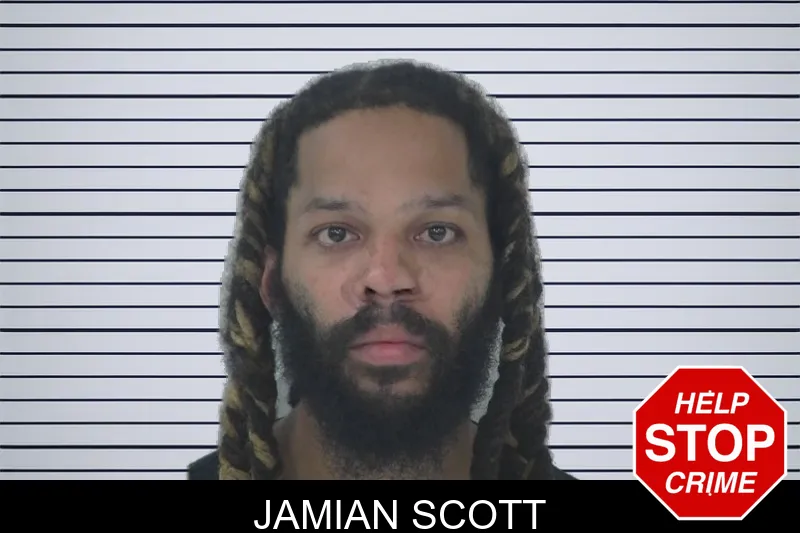 Jamian Scott mugshot – Fayette County , Georgia Jamian Scott mugshot