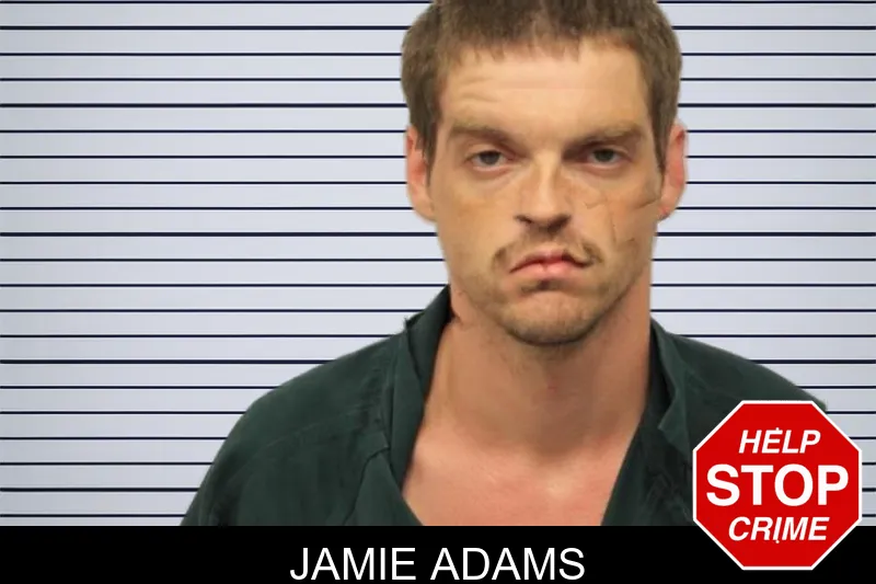 Jamie Adams mugshot