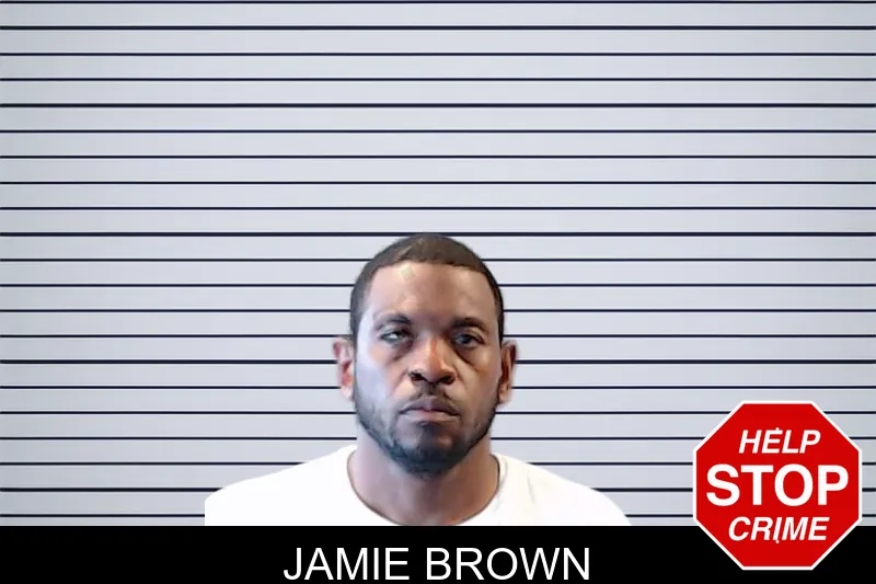 Jamie Brown mugshot