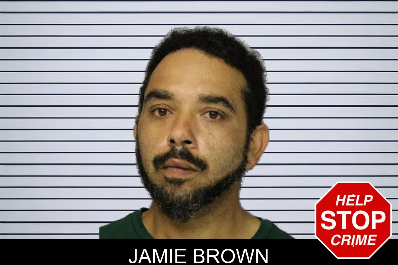 Jamie Brown mugshot