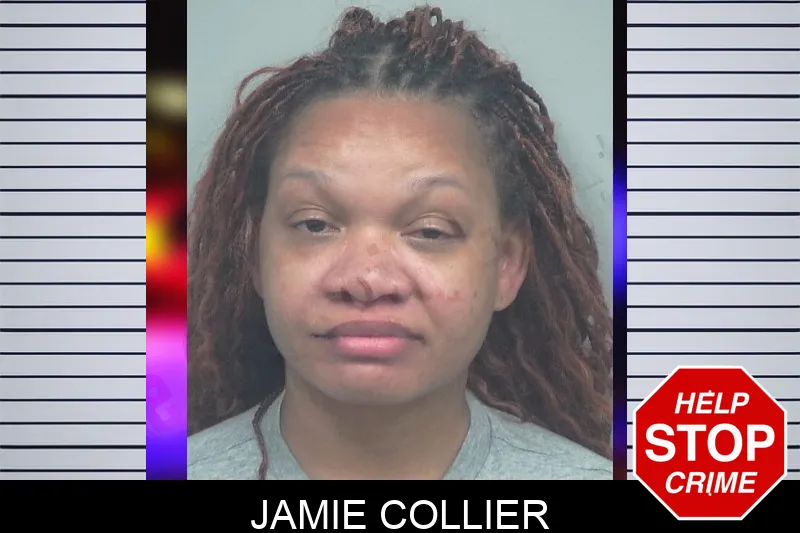 Jamie Collier mugshot – Gwinnett County , Georgia Jamie Collier mugshot