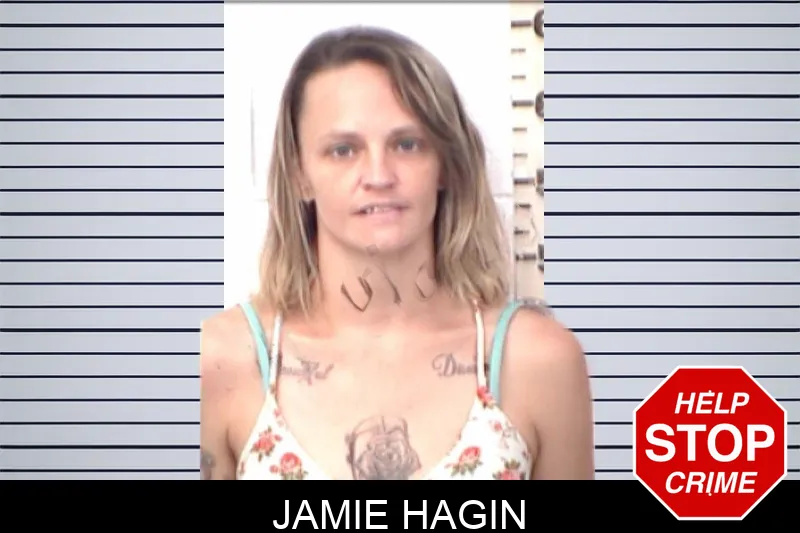 Jamie Hagin mugshot – Emanuel County , Georgia Jamie Hagin mugshot