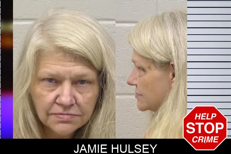 Jamie Hulsey mugshot