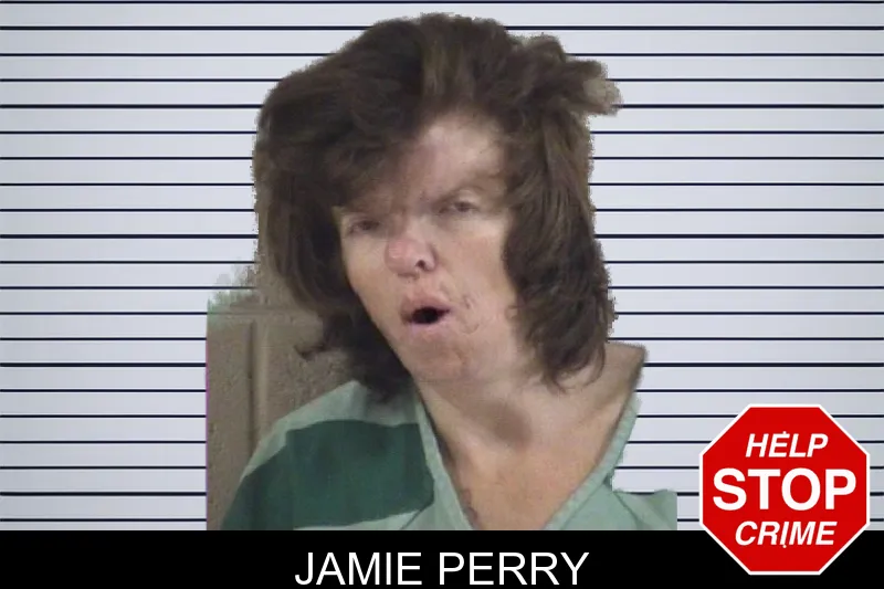 Jamie Perry mugshot