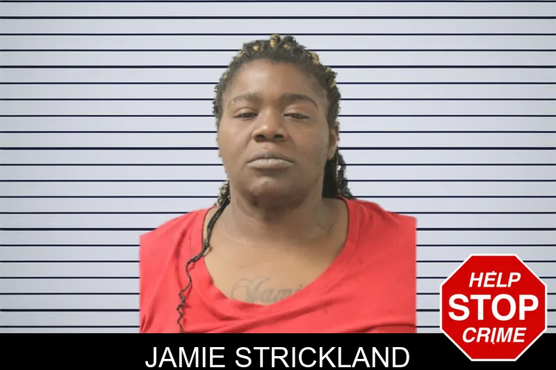 Jamie Strickland mugshot