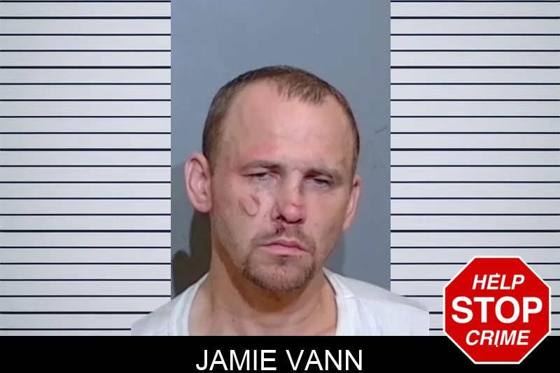 Jamie Vann mugshot – Glynn County , Georgia Jamie Vann mugshot