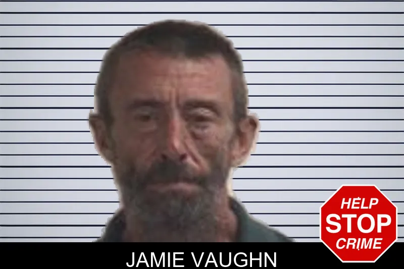 Jamie Vaughn mugshot