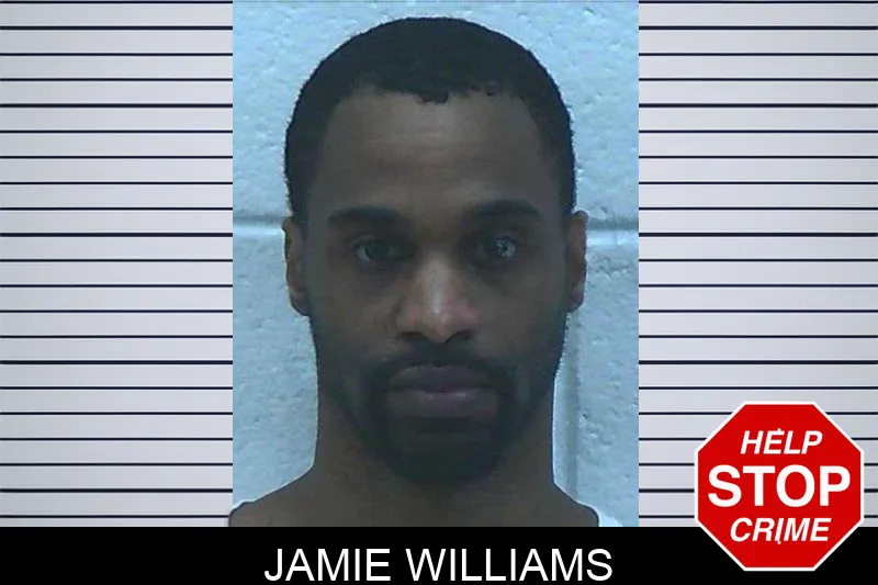Jamie Williams mugshot