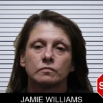 Jamie Williams mugshot