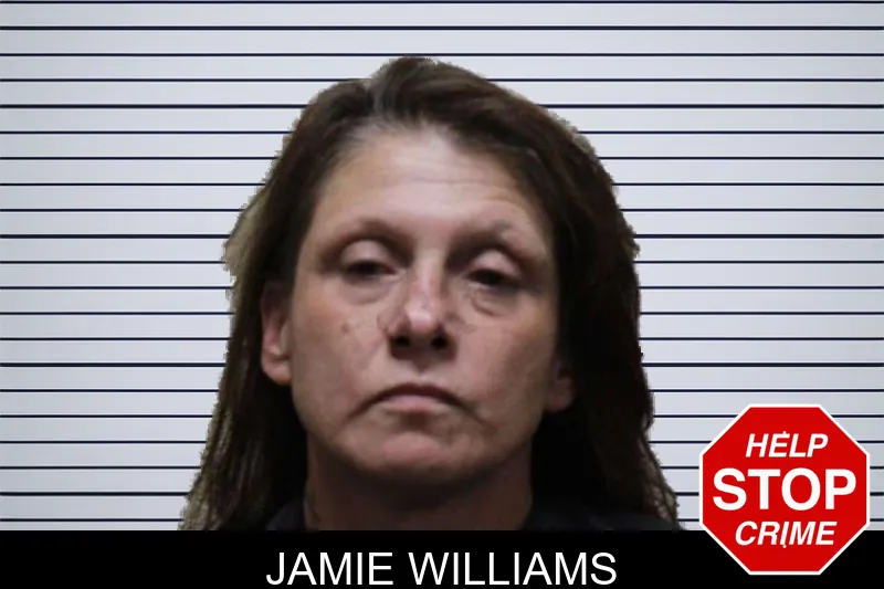 Jamie Williams mugshot