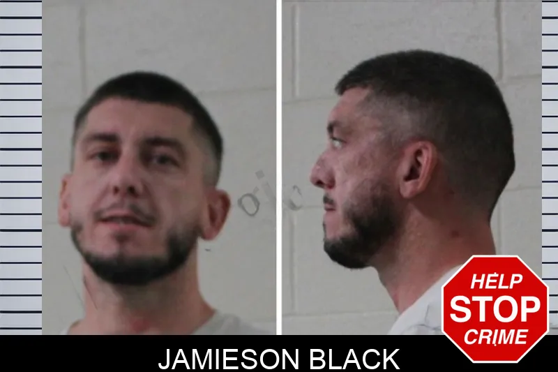 Jamieson Black mugshot – Houston County , Georgia Jamieson Black mugshot