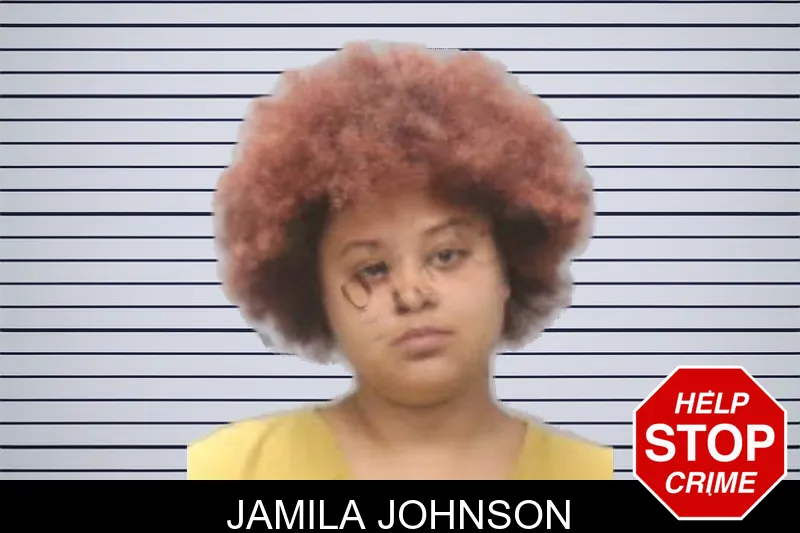 Jamila Johnson mugshot