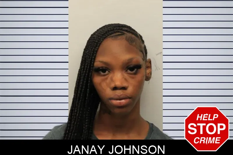 Janay Johnson mugshot