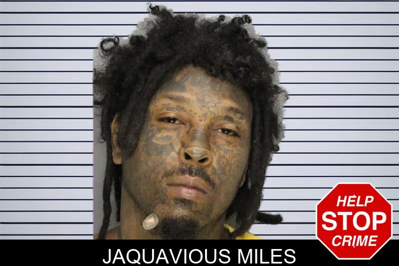 Jaquavious Miles mugshot