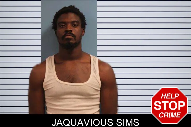 Jaquavious Sims mugshot – Monroe County , Georgia Jaquavious Sims mugshot