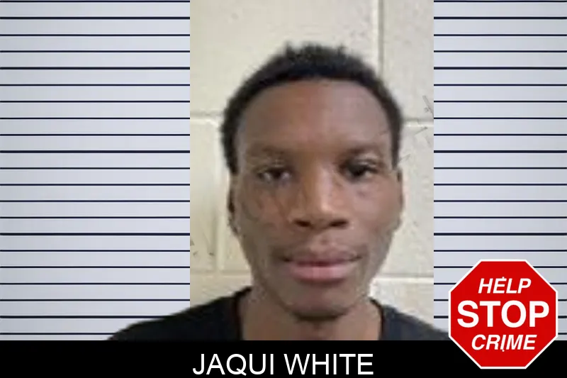 Jaqui White mugshot – Henry County , Georgia Jaqui White mugshot