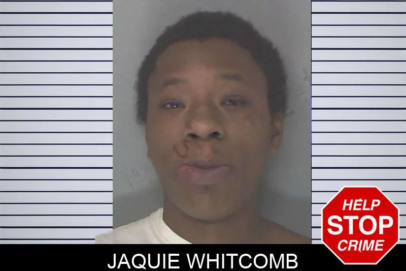 Jaquie Whitcomb mugshot