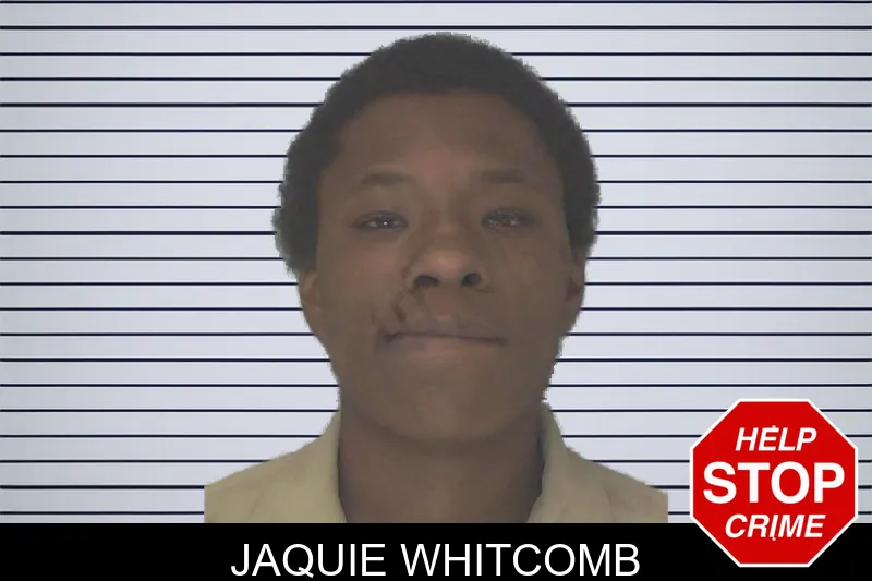 Jaquie Whitcomb mugshot
