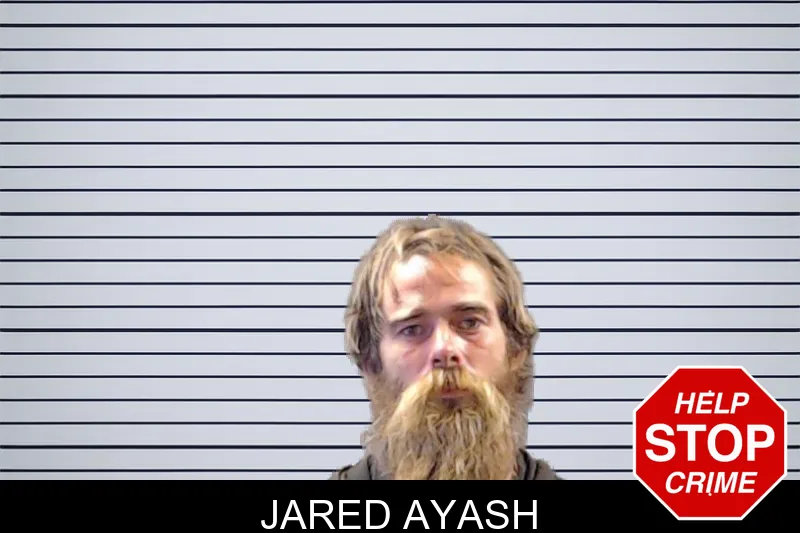 Jared Ayash mugshot
