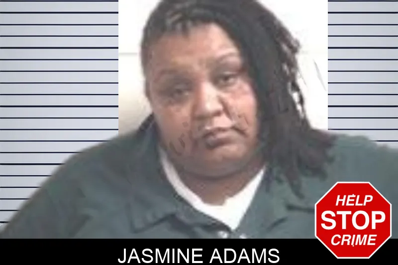 Jasmine Adams mugshot – Henry County , Georgia Jasmine Adams mugshot