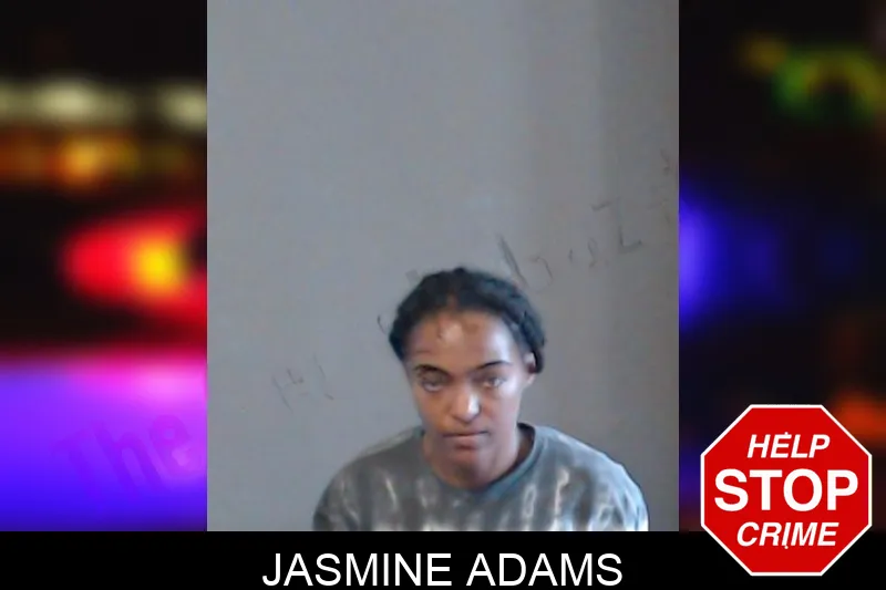 Jasmine Adams mugshot – DeKalb County , Georgia Jasmine Adams mugshot