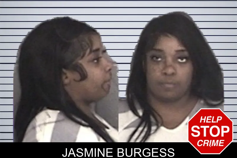 Jasmine Burgess mugshot – Barrow County , Georgia Jasmine Burgess mugshot