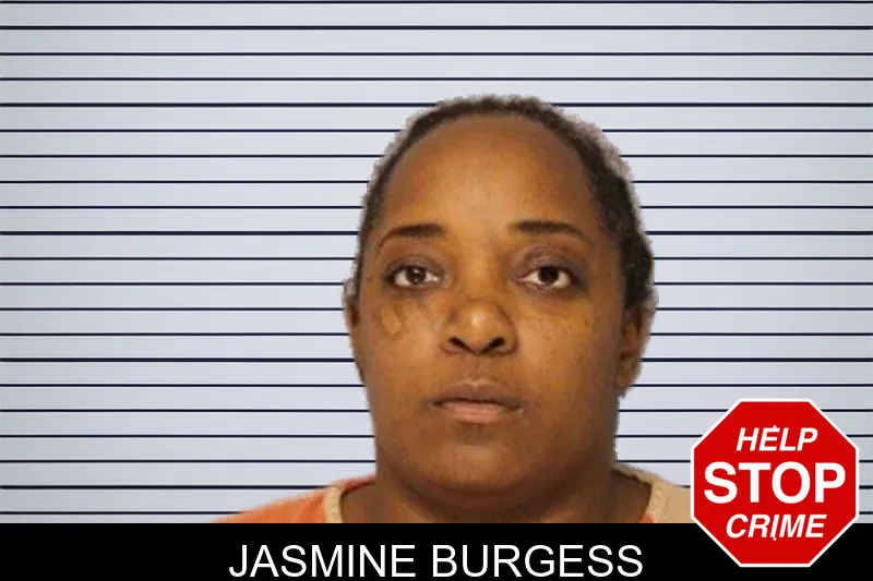 Jasmine Burgess mugshot – Hall County , Georgia Jasmine Burgess mugshot