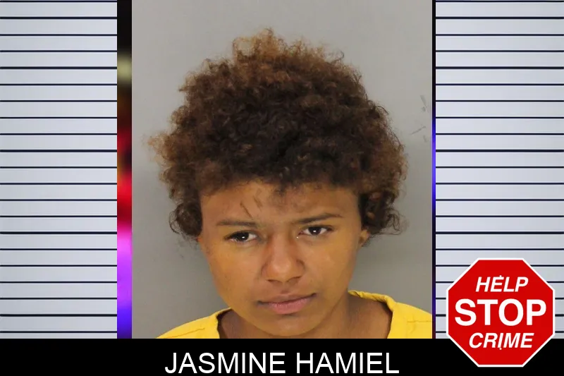 Jasmine Hamiel mugshot – Cobb County , Georgia Jasmine Hamiel mugshot