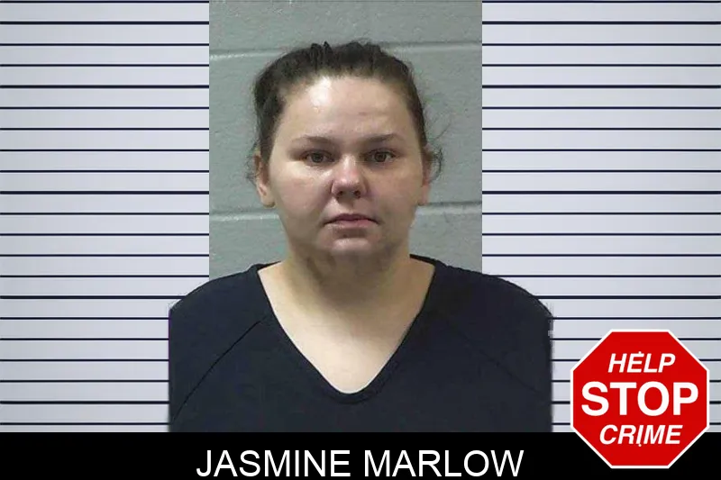 Jasmine Marlow mugshot – Gilmer County , Georgia Jasmine Marlow mugshot