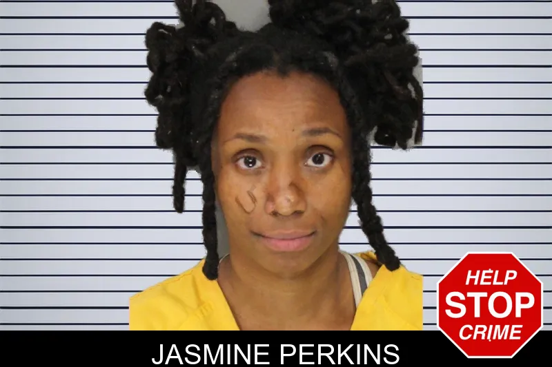 Jasmine Perkins mugshot