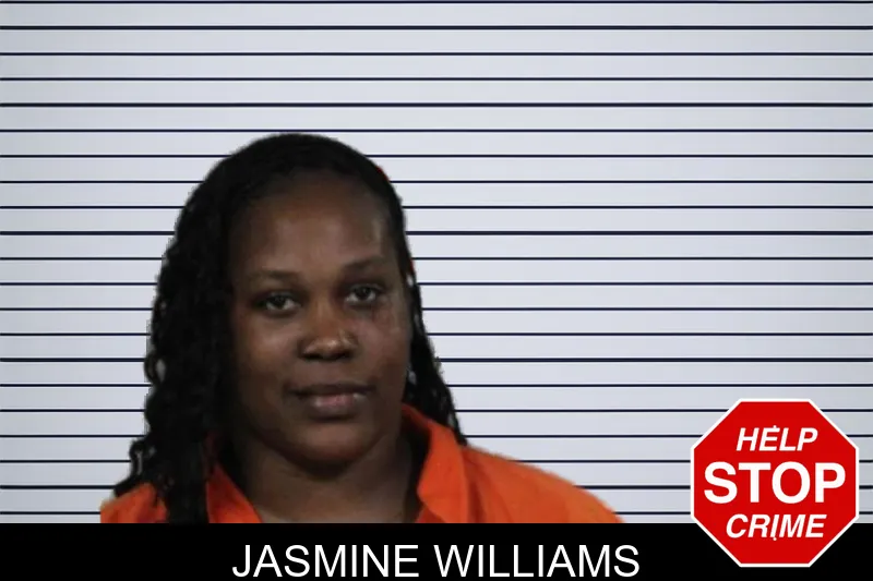 Jasmine Williams mugshot – Lamar County , Georgia Jasmine Williams mugshot