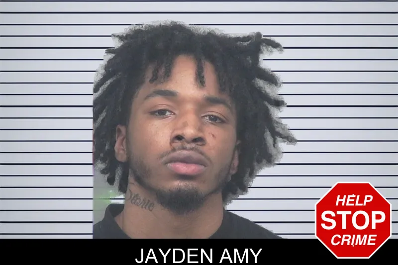 Jayden Amy mugshot – Gwinnett County , Georgia Jayden Amy mugshot