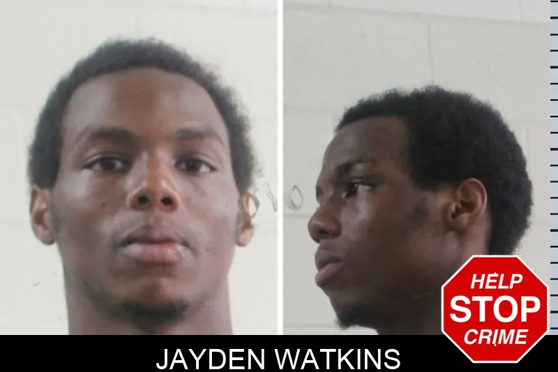 Jayden Watkins mugshot – Houston County , Georgia Jayden Watkins mugshot