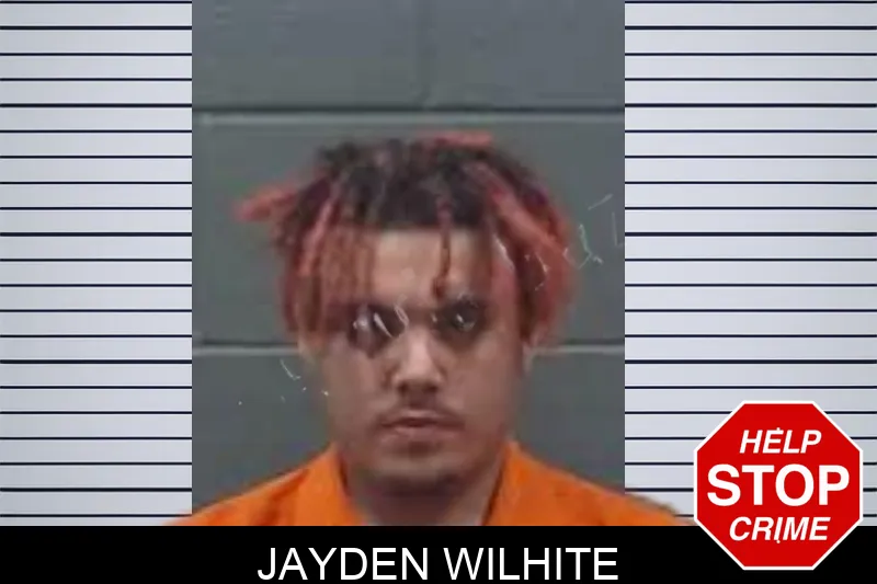 Jayden Wilhite mugshot – Oglethorpe County , Georgia Jayden Wilhite mugshot