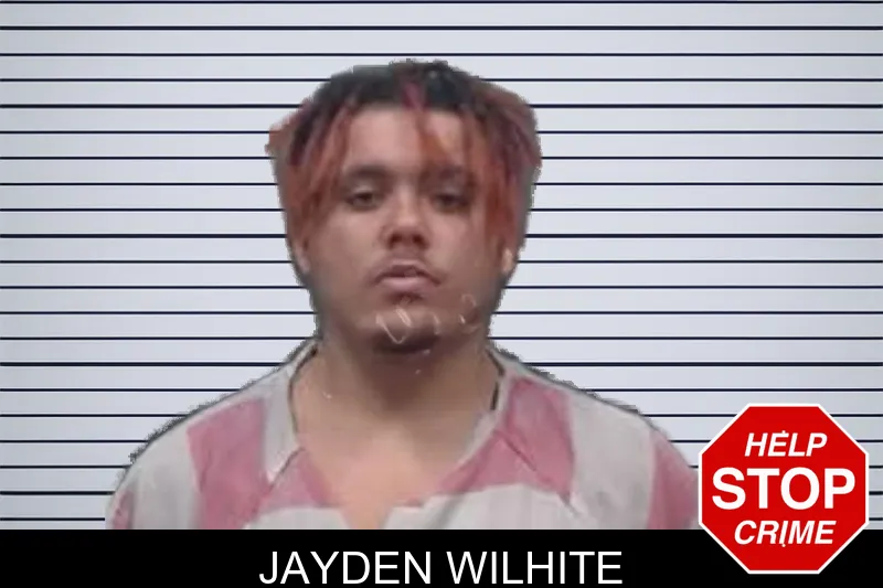 Jayden Wilhite mugshot