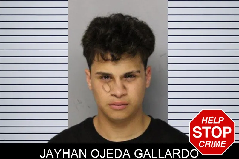 Jayhan Ojeda Gallardo mugshot