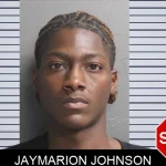 Jaymarion Johnson mugshot