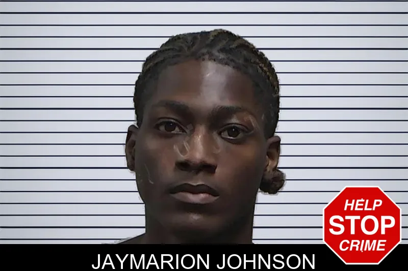 Jaymarion Johnson mugshot