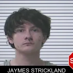 Jaymes Strickland mugshot