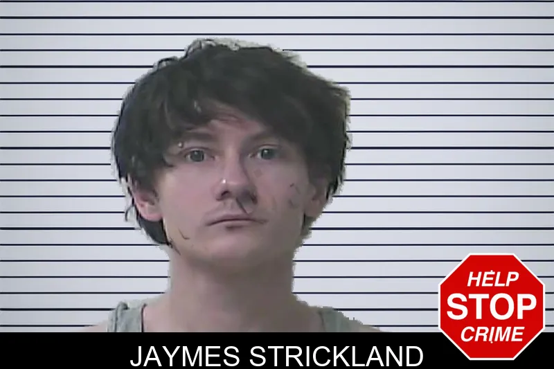 Jaymes Strickland mugshot