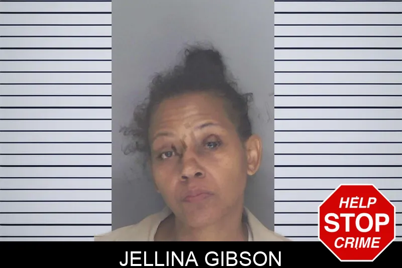 Jellina Gibson mugshot