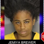 Jemiya Brewer mugshot – Cobb County , Georgia Jemiya Brewer mugshot